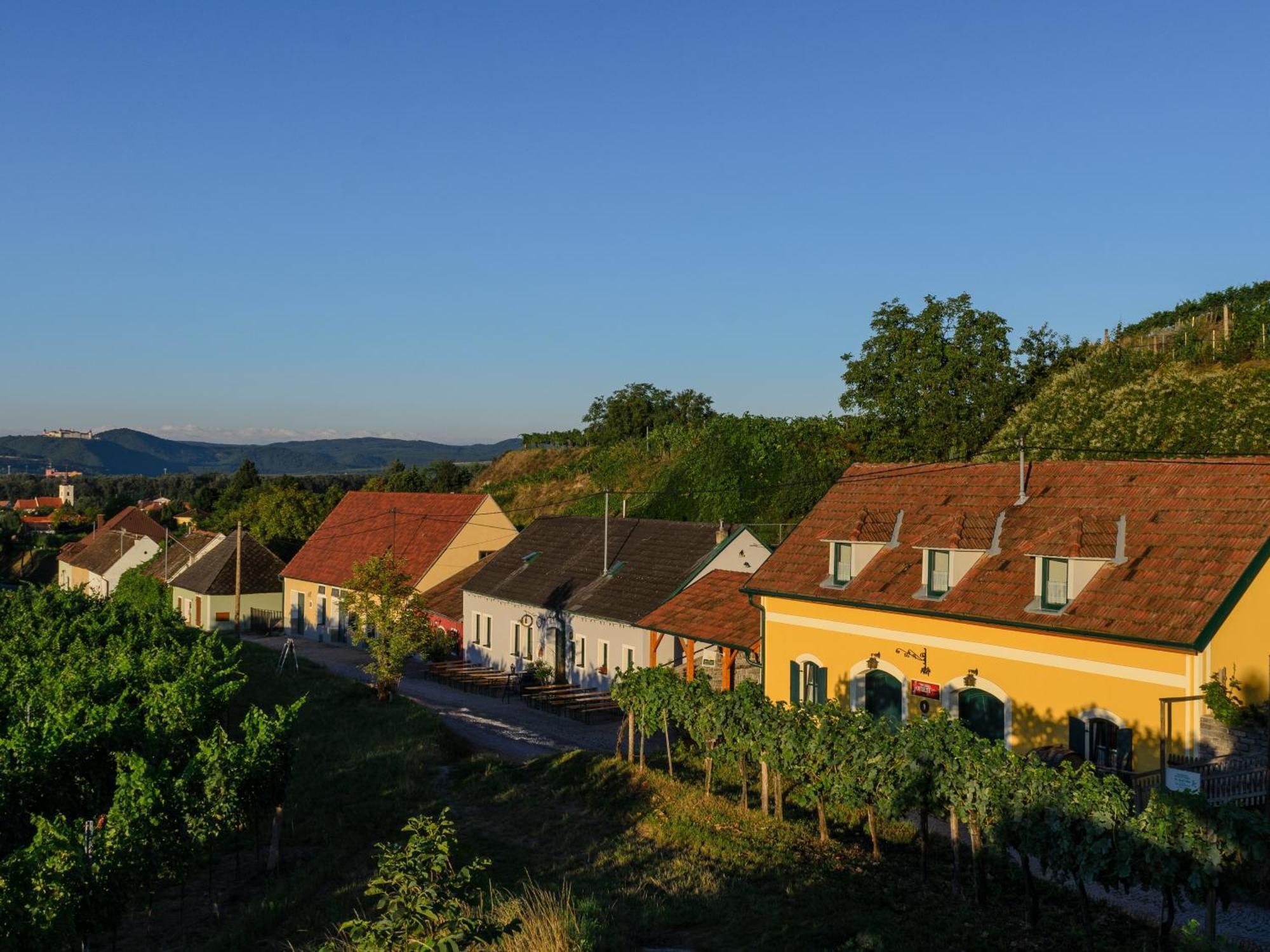 Hotel Gaestehaus Familie Trachsler à Rohrendorf bei Krems Extérieur photo