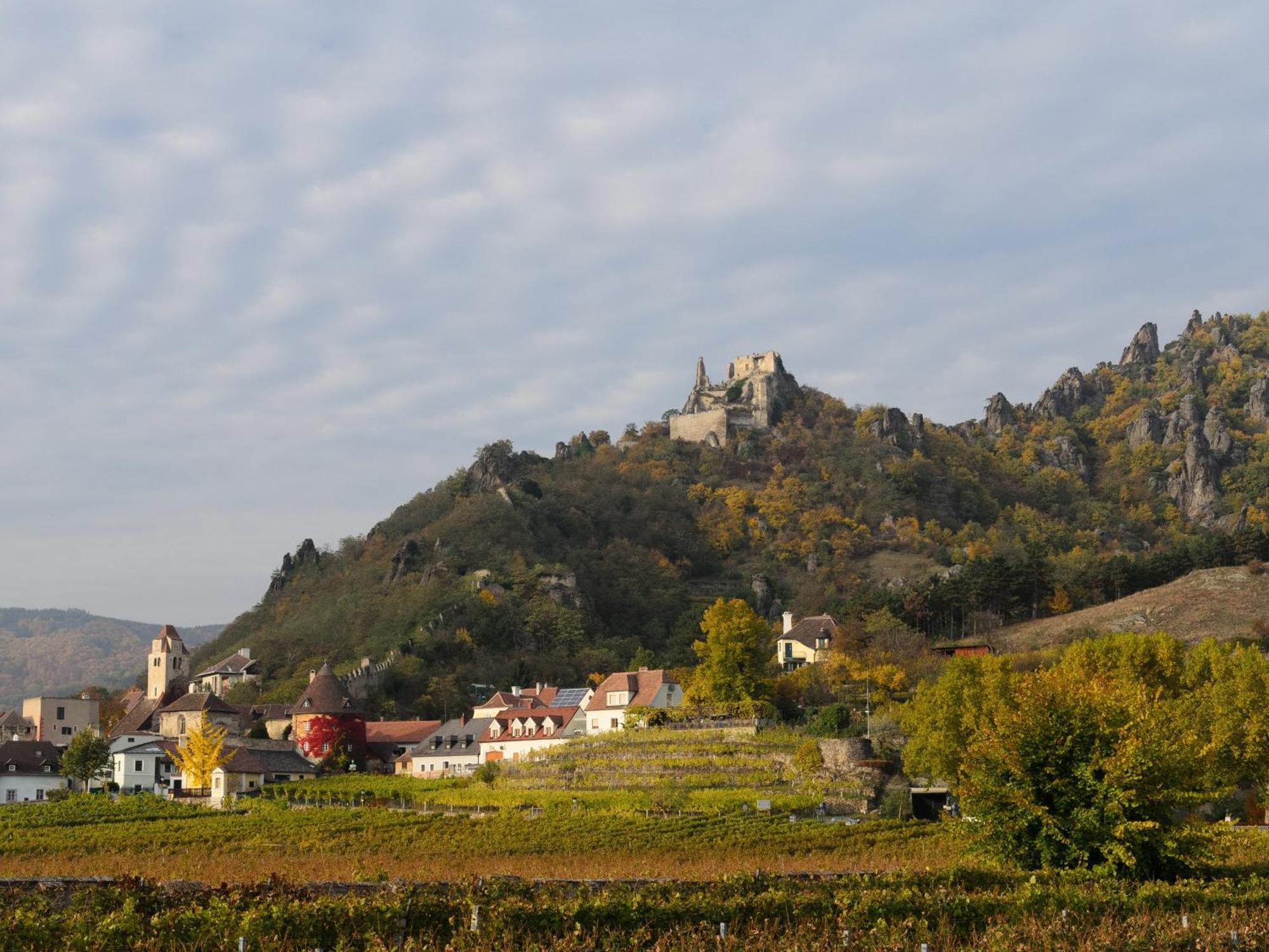 Hotel Gaestehaus Familie Trachsler à Rohrendorf bei Krems Extérieur photo